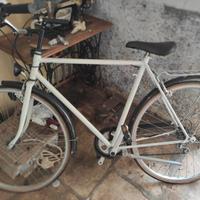 bici da uomo 