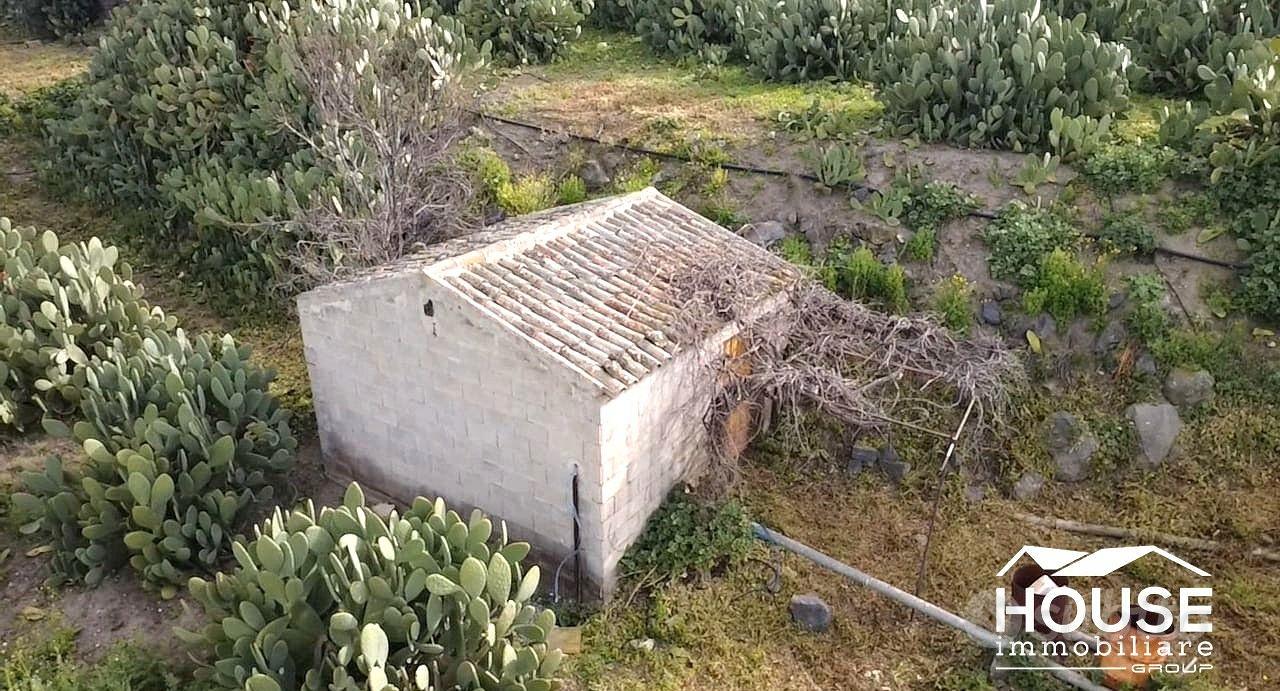 SANTA MARIA DI LICODIA AZIENDA AGRICOLA - Vista 4