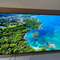 Tv LG OLED 55 pollici serie GX