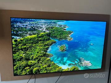 Tv LG OLED 55 pollici serie GX