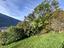 Immagine 13