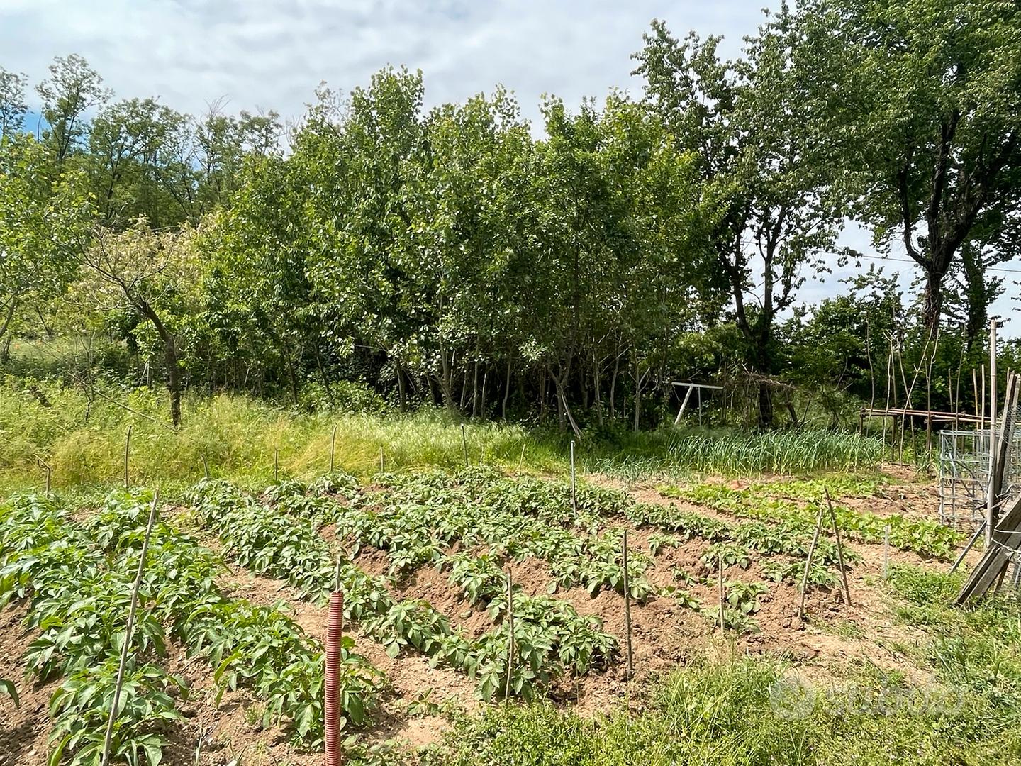 Terreno non edificabile nel parco del Ticino - Vista 3