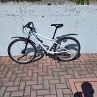 Mtb 24