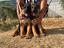 Immagine 4