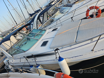 Barca Sea Ray 290 benzina