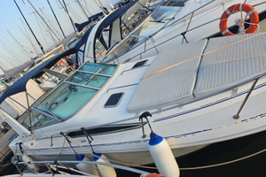 Barca Sea Ray 290 benzina