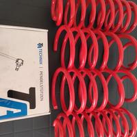 molle assetto e biellete regolabili golf mk4