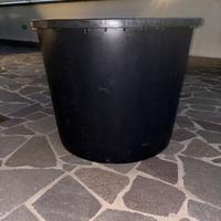 Vaso per piante