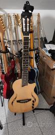 chitarra acustica elettrica 