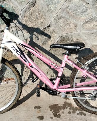 bicicletta 