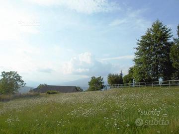 In Roncole di Albareto PR terreno edificab