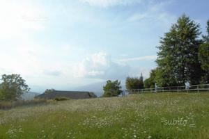 In Roncole di Albareto PR terreno edificab