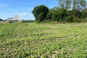 VENDITA TERRENO SEMINATIVO A PONTEMAODINO ( CODIGO