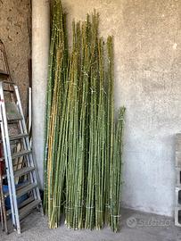 70 canne di bambù nuove