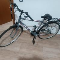 bicicletta da passeggio 29
