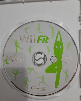Wii fit