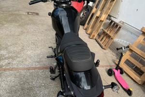 Custom /cruiser