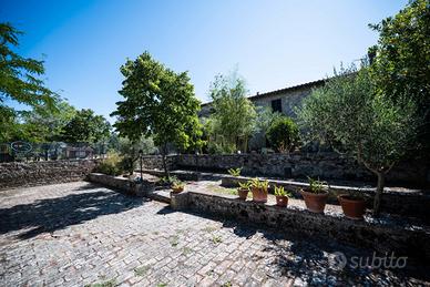 Porzione di casa a Asciano