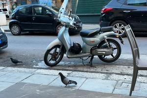 scarabeo 50cc