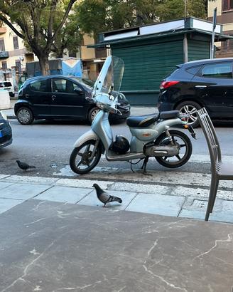 scarabeo 50cc