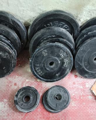 bilacere e dischi re