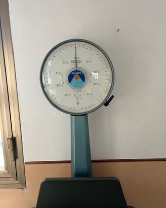 bilancia di precisione a piatto