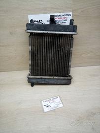 RADIATORE XCITING 2007 2014 300i R N0350