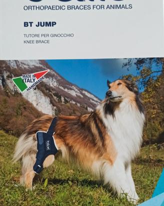 tutore ortopedico 
