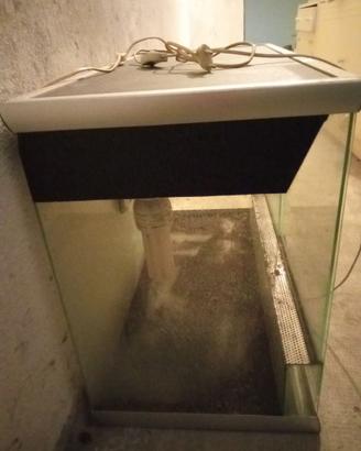 Terrario grande per rettili