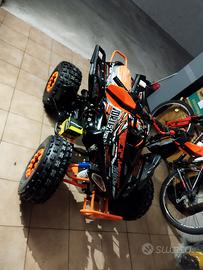 Altro Altro modello - 2024