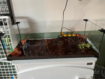 Tarrario per rettili