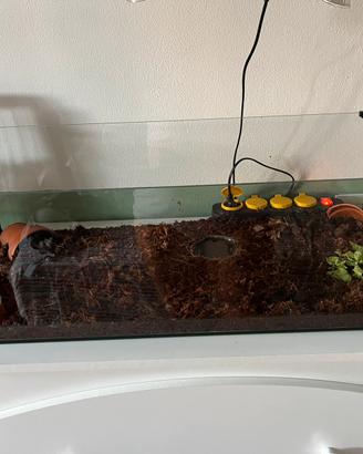 Tarrario per rettili