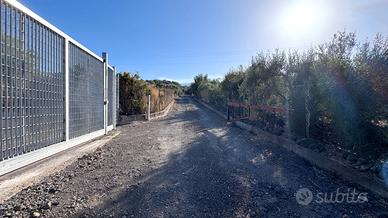 Terreno mq.4000 per edificare una villetta