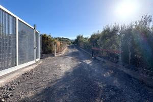 Terreno mq.4000 per edificare una villetta