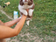 Immagine 27