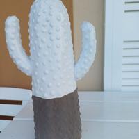 Vaso cactus