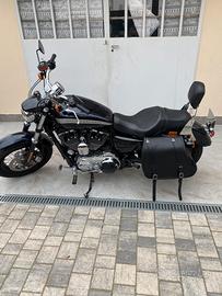 Harley Davidson 1200