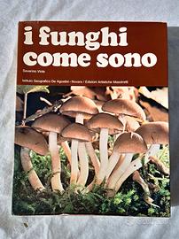 Libro- I funghi come sono- Severino Viola 1978