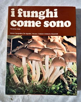 Libro- I funghi come sono- Severino Viola 1978