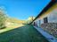 Immagine 17