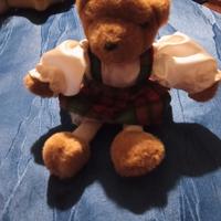 orsacchiotto di peluche 