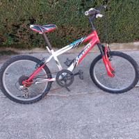 Bicicletta da bambino 