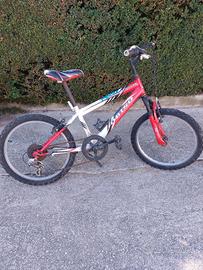 Bicicletta da bambino 