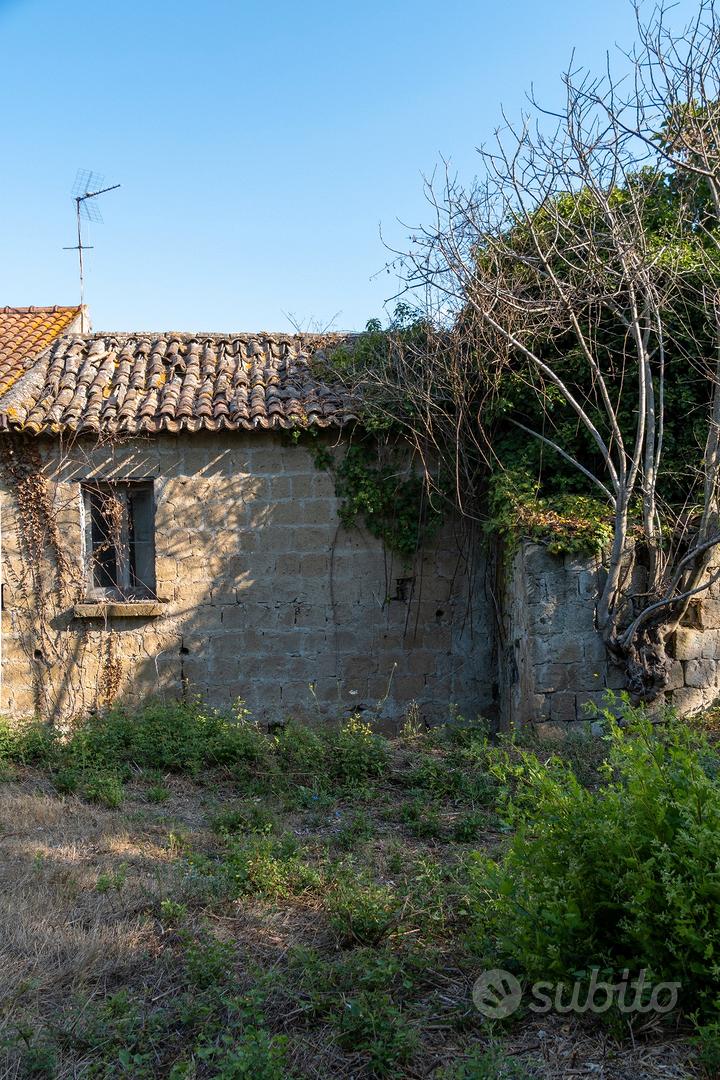 Ruviano , terreno agricolo di 5mila m con rustico - Vista 3
