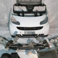 Musata Smart 451 compatibile dal 2007/2010