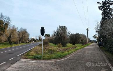 Terreno agricolo Latiano