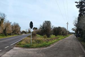 Terreno agricolo Latiano