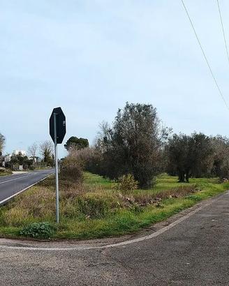 Terreno agricolo Latiano