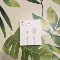 Apple Lighting to USB Cable