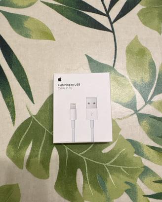 Apple Lighting to USB Cable